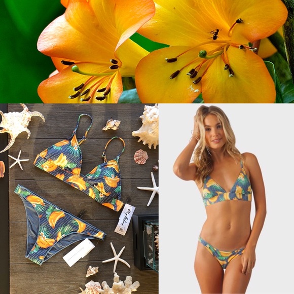 Rip Curl Other - 🌴🌼RIP CURL- THATZ BANDANNAS BIKINISET🌼🌴